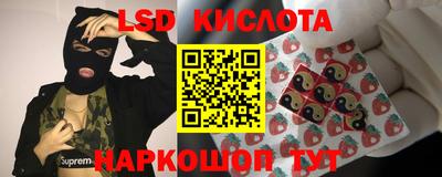 ПСИЛОЦИБИНОВЫЕ ГРИБЫ Нарткала