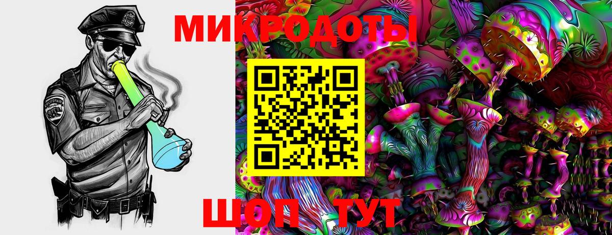 Псилоцибиновые грибы Psilocybe  Вход с VPN  Фролово 
