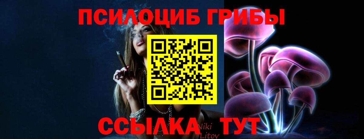 Галлюциногенные грибы Psilocybe Фролово